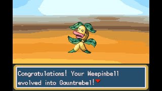 Pokémon Adventure Red Chapter  How To Evolve Weepinbell To Gauntrebell [upl. by Goar]