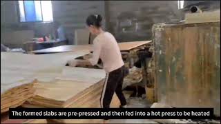 The process of making plywood can be divided into the following main steps [upl. by Lipski294]