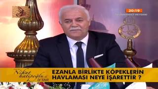 Ezanla Birlikte Köpeklerin Havlaması Neye İşarettir [upl. by Nevet]