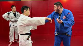 Nick Irabli Judo Seminar [upl. by Htezzil]