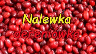 Nalewka dereniówka [upl. by Tella]