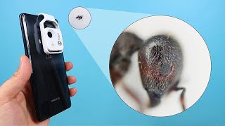 Compré un MICROSCOPIO para SMARTPHONE y miré dentro de los OJOS de una HORMIGA ¡y mucho más [upl. by Soiritos]