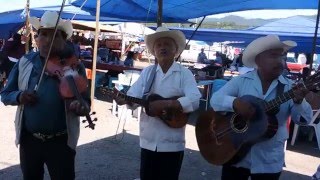 Trío Huapanguero Pahuatlán El caiman el gusto y el Querreque pulquero [upl. by Leihcey]