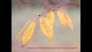 Messiahs Lament  LAMB  JOEL CHERNOFF THE OFFICIAL CHANNEL [upl. by Coad]