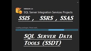 Install SQL Server Data Tools in Visual Studio 2019 [upl. by Aggappe]