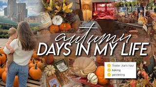 AUTUM DAYS  Trader Joe’s fall haul autumn gardening baking apple crisp amp cozy home moments ☕️ 🍁🌙 [upl. by Nesyaj471]