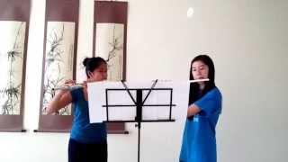 Sleepsong by Secret Garden  Flute Duet [upl. by Ofelia170]