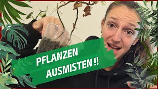 Pflanzen ausmisten Pflanzenwahnsinn [upl. by Iohk706]