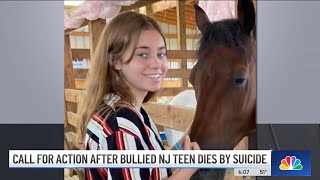 Bullied Teen Takes Own Life 2 Days After Students Took Video of Assault at NJ School  NBC New York [upl. by Chandra]