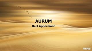 Aurum Bert Appermont [upl. by Eetnuahs301]