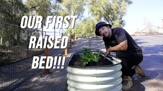 How I filled our first raised bed raisedbedgarden garden homestead [upl. by Llehsim]