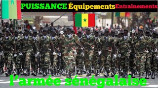 10 choses à savoir sur larmée sénégalaise  puissanceéquipements et entraînements 2022 [upl. by Flannery]