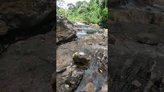 Find HIDDEN GOLD in Rocks The ULTIMATE Challenge goldpanning [upl. by Marte]