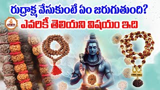 Why You Should Wear Rudraksha Find Out The Amazing Benefits  rudraksha srigiritv [upl. by Kosse]