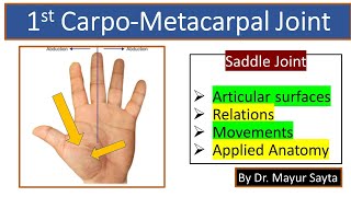 First carpometacarpal joint [upl. by Wane]