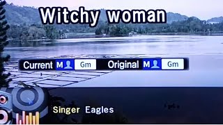 WITCHY WOMAN Eagles 🎵Karaoke Version🎵 [upl. by Merrilee267]