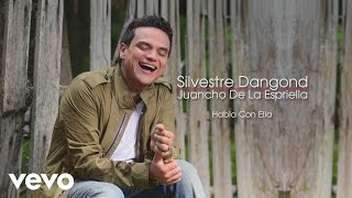 Silvestre Dangond Juancho De La Espriella  Habla Con Ella Cover Audio [upl. by Jaenicke546]