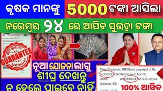 todays morning news odisha04 November 2024Subhadra yojana online apply processodisha news today [upl. by Dumond]