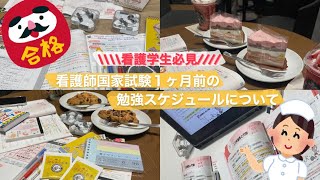 看護学生必見！看護師国家試験１ヶ月前の勉強スケジュールについて [upl. by Sivrahc]