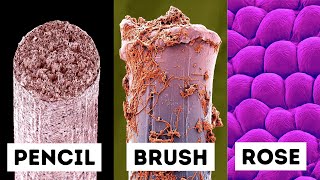 Everyday Objects Under An Electron Microscope [upl. by Koy]