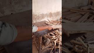 Cutting Wood on Table Saw for Foldable Chair  Manufacturing Movements shorts [upl. by Nileek]