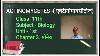 Actinomycetes  Mould Bacteria  In Hindi  Biology Extra [upl. by Titania]