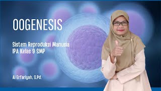 OOGENESIS  Proses Pembentukan Sel Telur Ovum [upl. by Kobe]