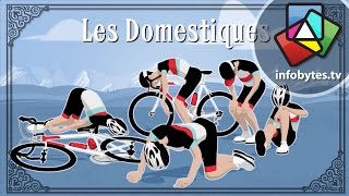 The Tour De France Explained in Animation [upl. by Etiuqram]