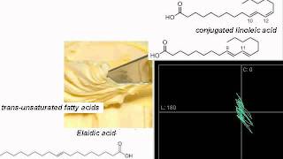 Transunsaturated fatty acid TranceTechno [upl. by Kamal794]