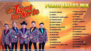 2 Hora De Puros Corridos De Los Tigres Del Norte Éxitos ⏭ Los Tigres Del Norte Mix 2024 Pa Pistear [upl. by Noicpecnoc]