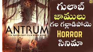 Antrum Movie Opinion  Movie Suggestion  Antrum Movie  Telugu Cinema Muchhatlu [upl. by Keller924]