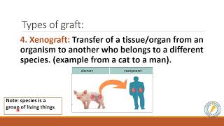 Self and non self part 4  graft [upl. by Himelman]