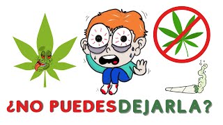 QUE PASA CUANDO DEJAS DE FUMAR MARIHUANA [upl. by Pickering632]