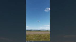 F1 Mirage from SouthAfrica with a high speed pass in Dcs [upl. by Aleron]