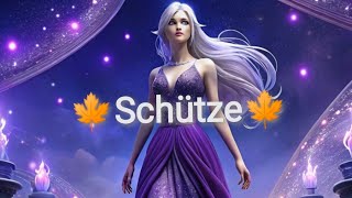 ♐Schütze🍁Du im Fokus amp Er SchnappschussLesung📸OrakelTarot Gültigkeit wenn Du es siehst🍀 [upl. by Faludi]