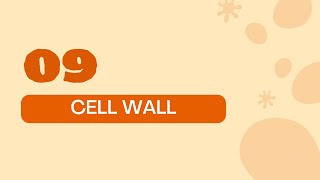 STPM BIOLOGY SEM 1 CHAPTER 2  ORGANELLES  PLANT CELL WALL  STRUCTURE amp FUNCTION  PLANT CELL [upl. by Ahsier835]