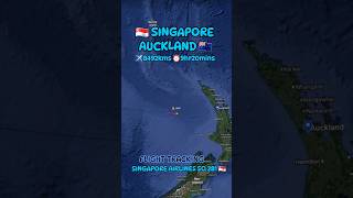 🇸🇬 Singapore to New Zealand 🇳🇿 Flight Route Tracking shortsfeed shorts [upl. by Nnaear]