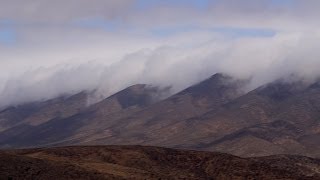 Harvesting Fresh Water from Fog [upl. by Rriocard]