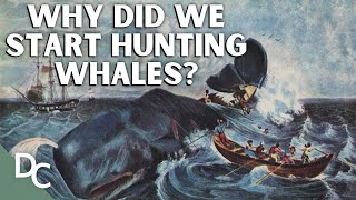 Unearthing Antarcticas Brutal Whaling Past  Whale Hunters An Untold History  Part 1  DC [upl. by Gathard]