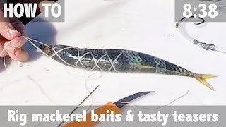 How to Rig Mackerel Pitch Baits amp Tasty Teasers [upl. by Ysnap]