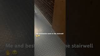 Stairwell lol preppy song singing cover artist school love relatable [upl. by Poirer]