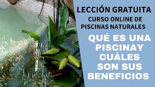 Qué son las piscinas naturales y cuáles son sus beneficios [upl. by Nemra]