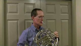 Strauss Concerto No 1 for French Horn Steve Park Horn [upl. by Flieger56]