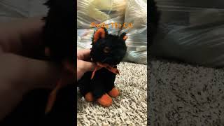 Fraidy The Cat New Plushie Character [upl. by Eilzel]