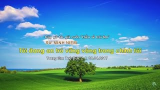 Thầy Minh Niệm  Tôi đang an trú vững vàng trong chính tôi  TT Tuệ Đức 2  08042017 [upl. by Hesler322]