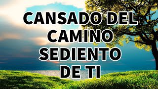 CANSADO DEL CAMINO SEDIENTO DE TI  ADORACIONES Y ALABANZAS PODEROSAS PARA ORAR  ALABANZAS 2023 [upl. by Ferna]