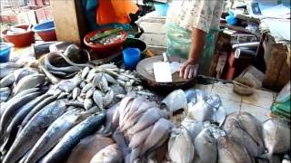 MORNING WET MARKET Batu Pahat Malaysia [upl. by Sibel]