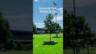 📍Scissortail Park Oklahoma City oklahoma oklahomacity tripadvisor bucketlist usa skyline [upl. by Ymmas]