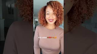 Fall Hair Color Transformation on Natural Hair 🍂🍁♥️🤎🧡 [upl. by Debera]