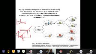 The Concept of cellular memory Part 1 [upl. by Aicilanna]